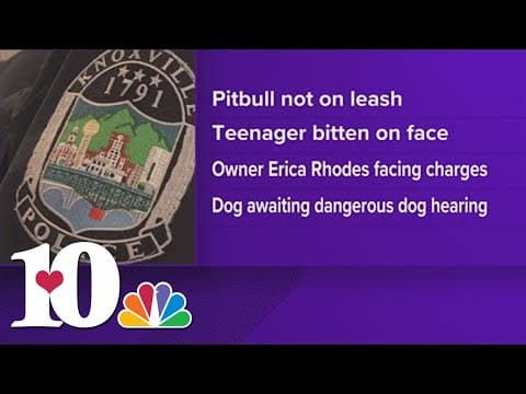 KPD report provides new details after dog attacks 14-year-old at school bus stop