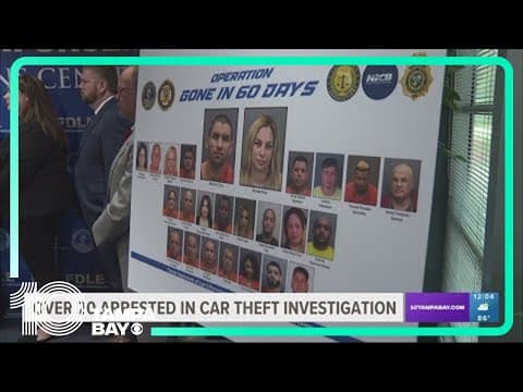 FDLE: More than 20 arrests made in 5-year-long organized car theft ring investigation