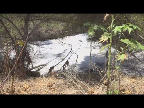 Violation notice issued to Border wastewater station for odors