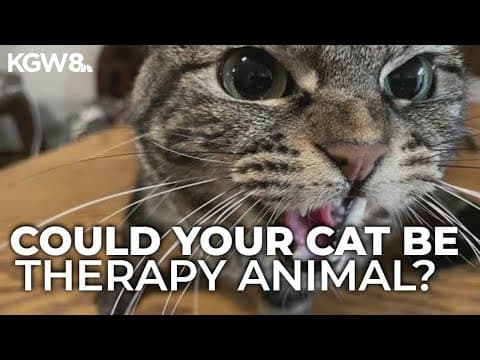 Could your cat be a therapy animal? New study explores possibilities