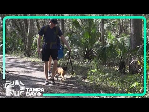 Bill seeks trails and cabins, not pickleball courts and hotels, for Florida state parks