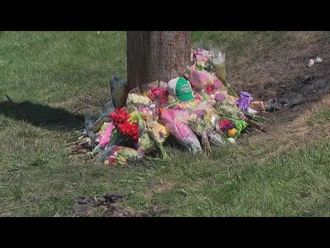 Police identify 2 recent Dublin Scioto High School graduates killed in crash