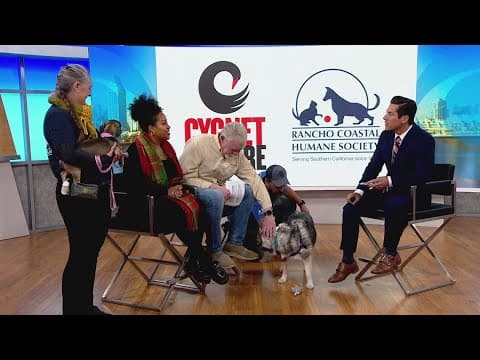 Cygnet's A Christmas Carol and pet adoption event