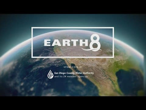 New petition aims to protect dwindling Great Hammerhead Shark population from extinction