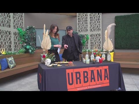 Celebrate National Quesadilla Month with Urbana at CBS 8