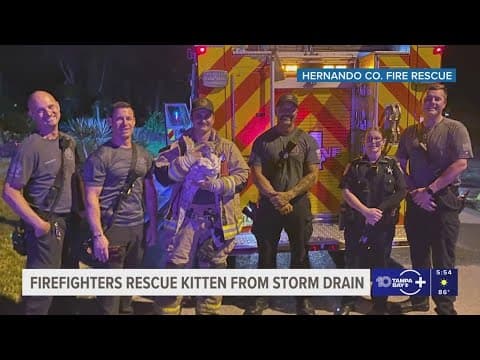 Hernando County Fire Rescue saves kitten trapped inside storm drain