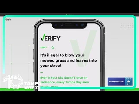 Tampa Bay yard waste: It's illegal to blow, leave it in street