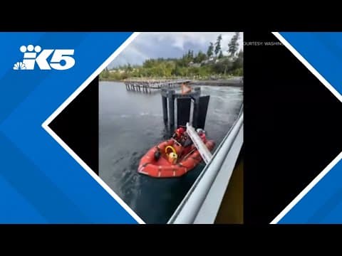 Washington State Ferry crew rescues paddleboarders