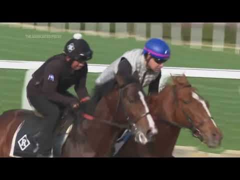 The secret to Kentucky Derby success? Horses' big hearts, powerful lungs and hind legs like springs