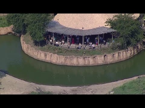 Dollar Day draws crowds to Dallas Zoo