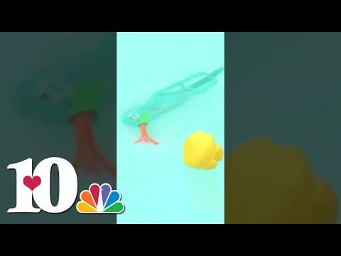 Dollywood's Splash Country, even our Katie Inman, is all about safety this summer