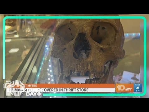 Human skull found in Halloween section of Florida thrift store