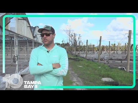 No poinsettias for the holidays: Hurricanes wipe out entire crop at Manatee County nursery