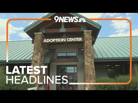 Latest Headlines | Animals rescued from Colorado wildfires up for adoption