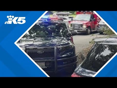 Man says attacker used racial slurs during attack at Bellingham park