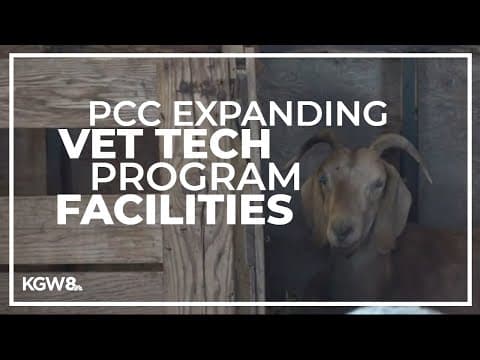 Portland Community College plans to expand veterinary technician program facilities