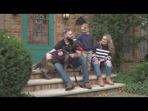 From Afghanistan to Green Bay: military dog reunited with veteran
