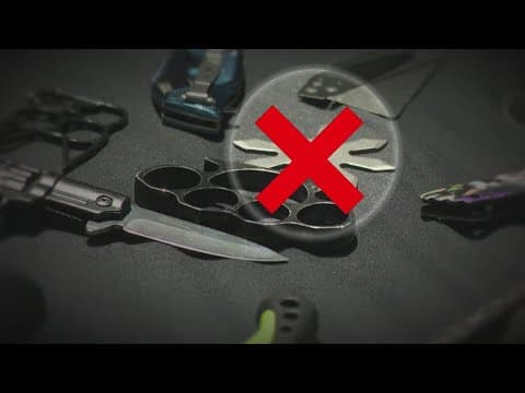 Throwing stars, snakes and kitchen sinks –wildest items found at TSA checkpoints