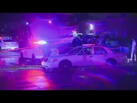 Organizations call for better gun laws