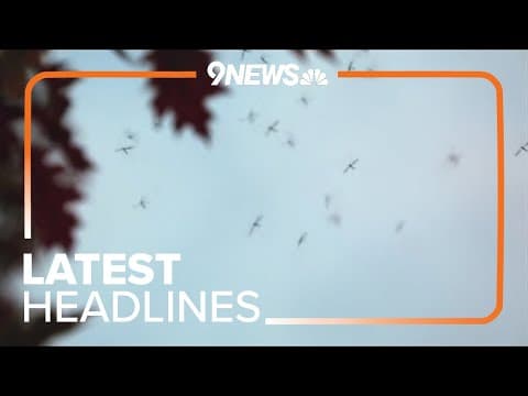 Latest headlines | Colorado has its first West Nile virus death of the year
