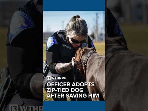 South Bend PD officer adopts dog she found with zip tie around his snout.