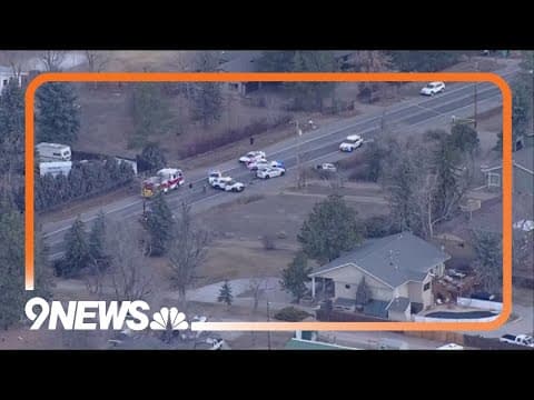 Man shot by deputy after commandeering patrol vehicle, sheriff's office says