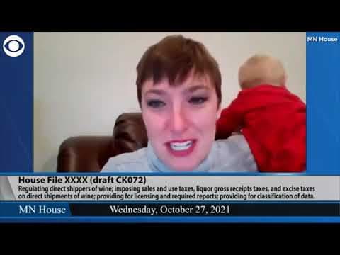 Baby interrupts House committee meeting