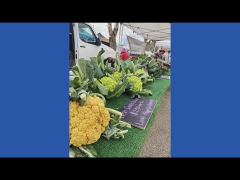 Cardiff Farmer's Market offering Nutritional Tours