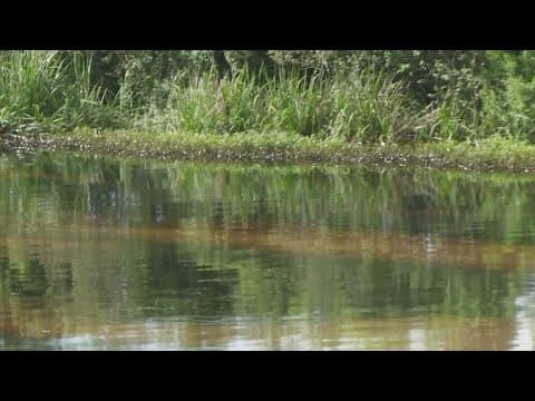 Oil spill in Lafourche Parish, cleanup underway