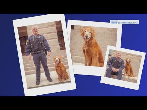 She protected thousands — Now she’s headed for porch swings and puddles