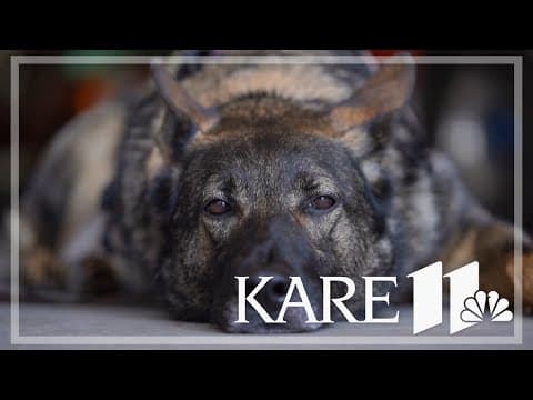 Family of fallen Fargo officer supports Minnesota nonprofit that trains service dogs
