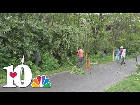 TVA and Trees Knoxville give away free trees, host invasive plant removal at Caswell Park