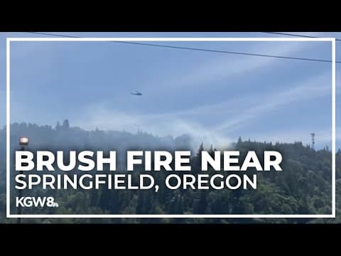 Brush fire sparks south of a lumber mill in Springfield, Oregon