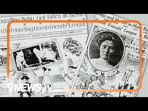 Looking back the Dumb Friends League 115 year history