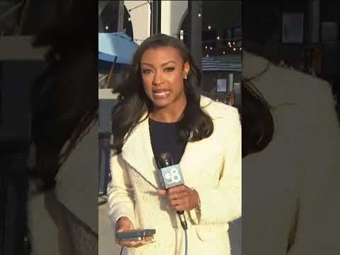 Mountain lion spotted peering into a movie theater in Oceanside of San Diego County. #news #animals