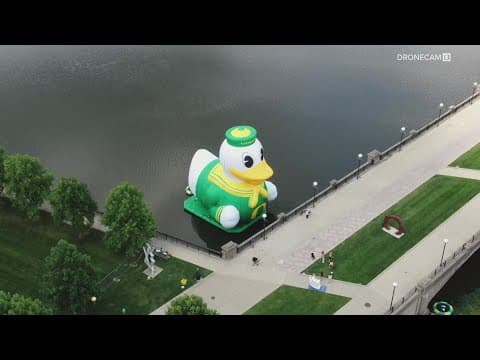 Giant Oregon Duck floating on the White River as part of Big Ten Football Media Days
