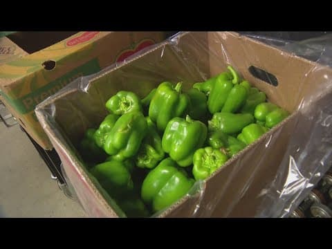 Uniting to Combat Hunger | Feeding San Diego works to support San Diego’s military community