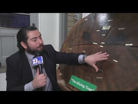 Cool Schools: Check out the Belle Morris Giving Tree!