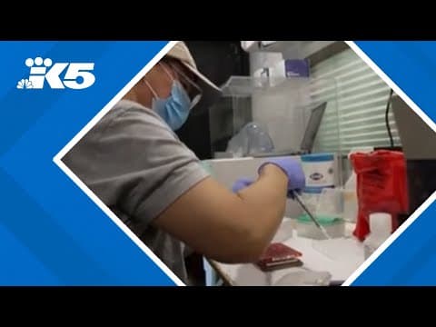 The bird flu virus is evolving. NBC News medical analyst shares what you need to know