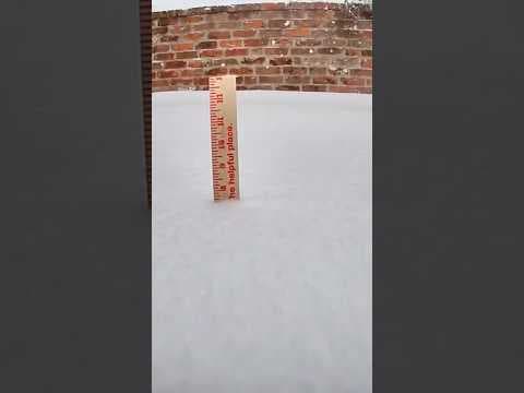 Timelapse video of snow piling up in New Orleans #snow