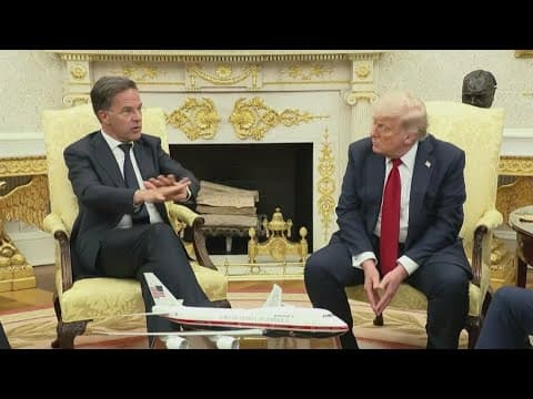 Trump meets with NATO Secretary General on Russia-Ukraine war