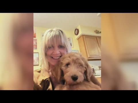 Dogs involved in attack that left one woman dead had violent history