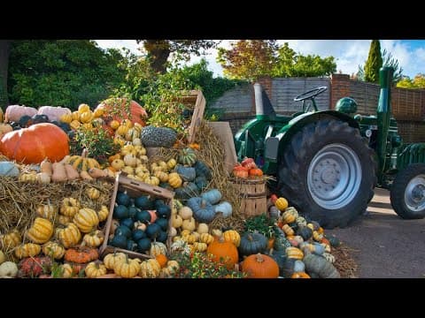 Fall Fun Fest at Reston Farm Garden Market starts September 28th