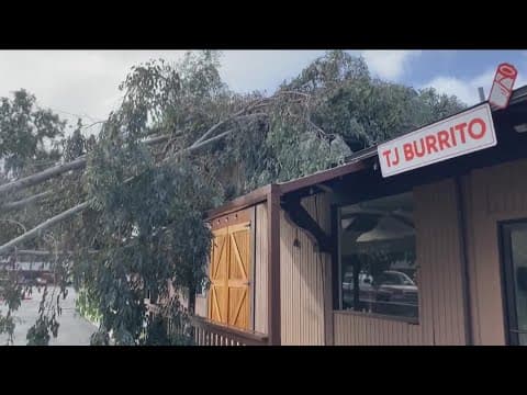 Heavy rain, strong winds knocks out power across San Diego County