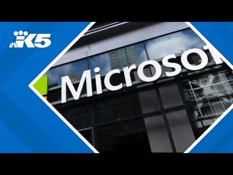 Crowdstrike outage hits Microsoft