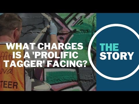 Breaking down the charges for ‘prolific tagger’