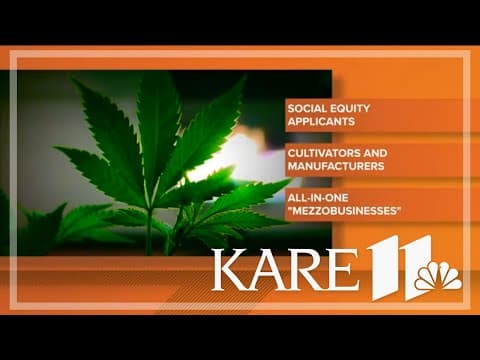 Minnesota cannabis lottery to award licenses to businesses