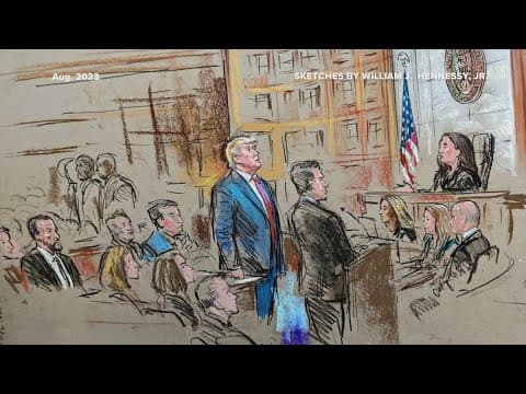 Trump says he did 'absolutely nothing wrong' following DC election fraud hearing