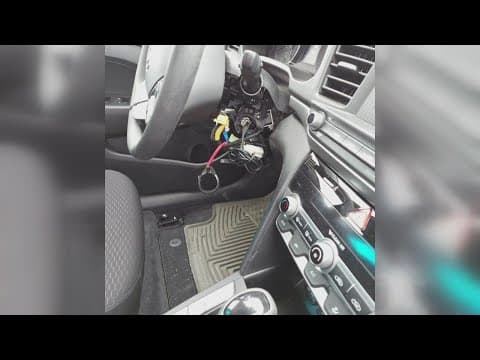 Car insurance rates could rise to cover costs of stolen Hyundais, Kias