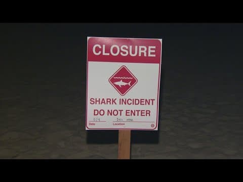 Del Mar Beach closed after swimmer survives shark attack